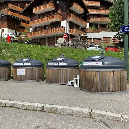 Montagne Pieds Des Pistes Et Depart De Randonnee Ete Comme Hivers Apartment *
